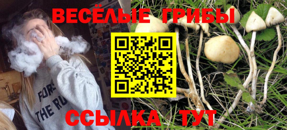 Галлюциногенные грибы прущие грибы  Галлюциногенные грибы прущие грибы  Вход с VPN  Кстово 
