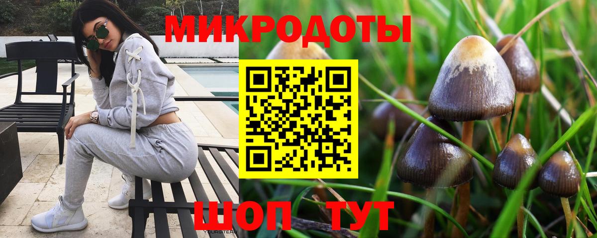 Псилоцибиновые грибы MAGIC MUSHROOMS Кстово